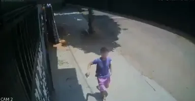 Imagem ilustrativa da notícia Polícia Militar prende suspeito e recupera celular roubado